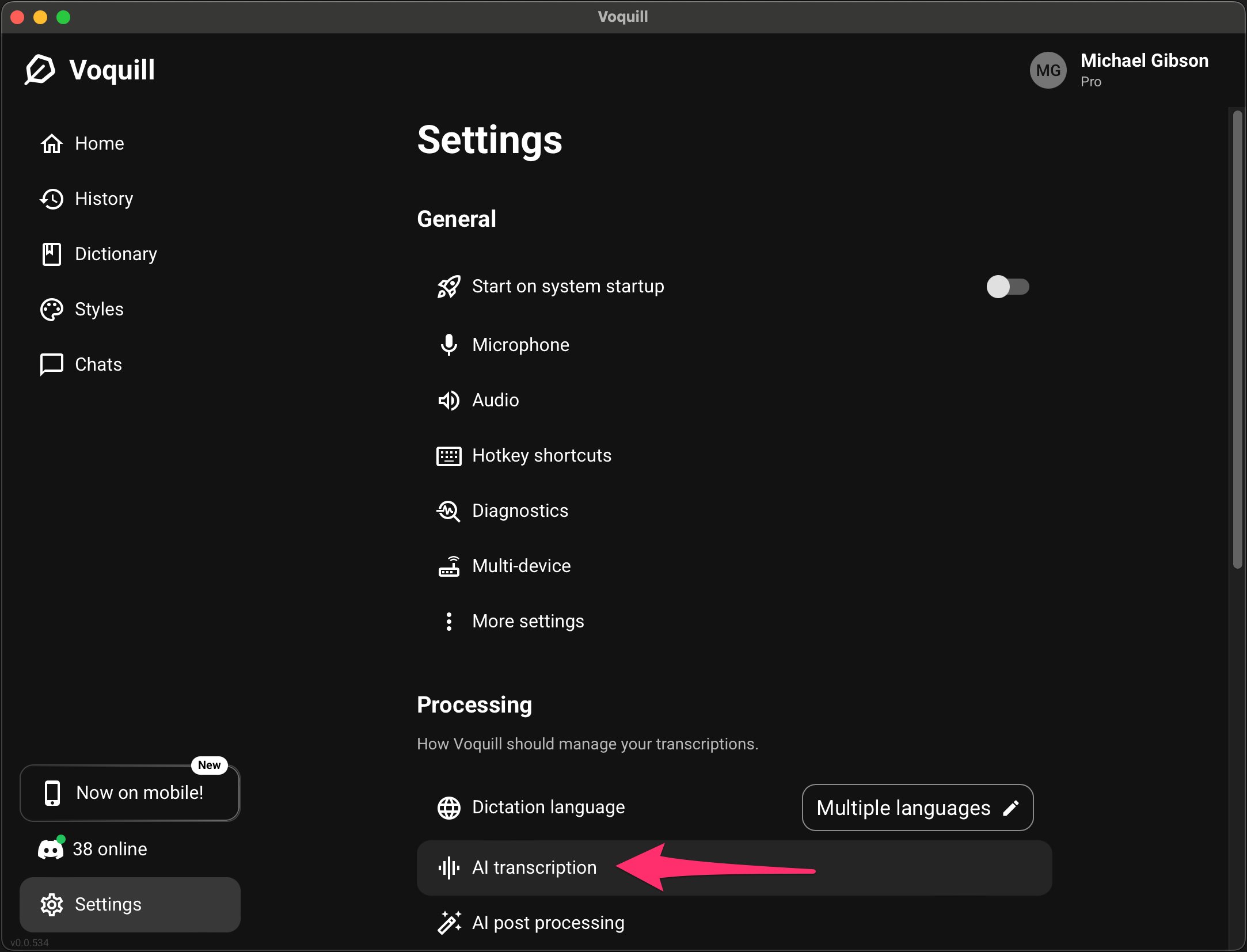 Voquill Settings showing Processing section